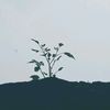 Hemendra Patel - @hemendrapatel56 - TikTok