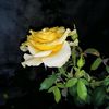 Hemlata Patel - @hema0903 - TikTok