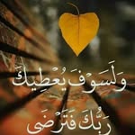 Hend Aly - @noody_aly222 - Instagram