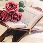 Hend Hashem - Facebook