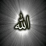 Hend Hashem - @hendmohamed201556 - Instagram