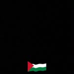 هند طارق - @hend__ibrahim74 - Instagram