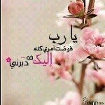 ام سلطان - @hend_nasser__ - Instagram