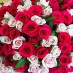 Hend Nasser - @hend.nasser.984349 - Instagram