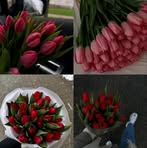 Hend Nasser - Facebook
