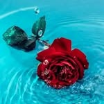 Hend Omran - @hend_omron - Instagram