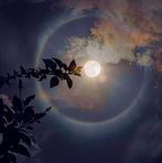 Hend Sonbol - Facebook