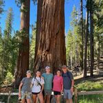 Heather Henderson Brown - @brownmom3 - Instagram