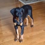 Micah Henderson Watson - @shaboimicah - Instagram