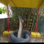 Hendra Lim - Facebook