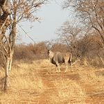 Hendrik Coetzee - @coetzee768 - Instagram