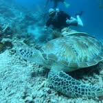 Hendrik Jansen - @hendrik2033 - Instagram