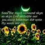 Hendrik Jansen - @hjansen924 - Instagram