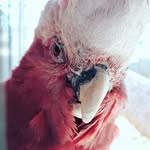 Frans Hendrik Lindeque Otto - @lindeque_otto_ - Instagram