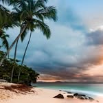 Jan hendrik Schuster - @seeb_baer21 - Instagram