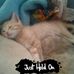 Hendrik Venter - Facebook