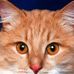 Hendro Waskito - Facebook