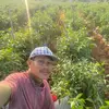 Heng Bun - @heng.bun8 - TikTok