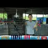 HENG BUN - @hengbun8 - TikTok