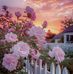 Heng Bun Long - Facebook