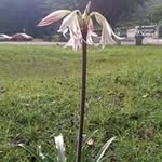Heng wee chay - @chayhengwee - Instagram
