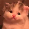 hengchay468 - @hengchay468 - TikTok