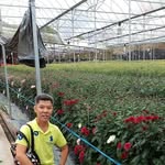 Heng Chow - @heng.chow.94 - Instagram