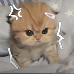 Heng Lay - Facebook