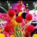 Heng Tẩn Phủ Heng - Facebook