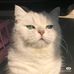 Heng TY - Facebook