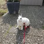 Henk Evers - @blokhut_ - Instagram