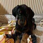Henning Hansen - @henning.hansen.98478672 - Instagram