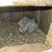 Henning Hansen - Facebook