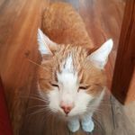 Henning Hansen - @henning.hansen.18 - Instagram