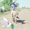 henninghansen525 - @henninghansen525 - TikTok