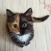 Henok Solomon - @henok.solomon55 - TikTok