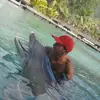 henriboucherdargi7 - @henriboucherdargi7 - TikTok