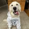 Henri 🐾 - @henri.joseph - TikTok