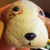 henrijoseph565 - @henrijoseph565 - TikTok