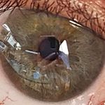 Charles Henri Pelletier - @charleshenripelletier - Instagram