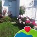 Henri Pelletier - Facebook