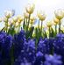 Henriette Ebot - Facebook