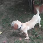 henriettaabraham85@gmail.com - @henriettaabraham85gmail.com7 - Instagram