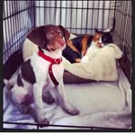 Henrietta & Alice - @henriettaandalice - Instagram