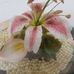 Henrietta Allen - Facebook
