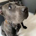 Leah - @henriettabaileykqd7567 - Instagram
