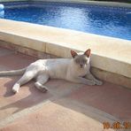 Henrietta Benjamin - Facebook