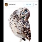 Henrietta Bennett - @winhen1950 - Instagram