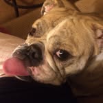 Henrietta - @henriettabergos - Instagram