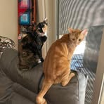 Henrietta Berg - Facebook
